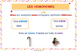 Homonymes lexicaux - Affiche de classe : 3eme, 4eme, 5eme Primaire - PDF à imprimer