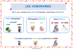 Homonymes - Affiche de classe : 3eme, 4eme, 5eme Primaire - PDF à imprimer