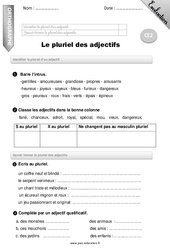 Pluriel des adjectifs - Examen Evaluation - Bilan : 3eme Primaire - PDF à imprimer
