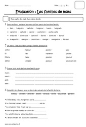 Familles de mots - Examen Evaluation : 3eme Primaire - PDF à imprimer