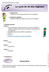 Cycle de vie des végétaux - Séquence - Fiche de préparation 2 : 3eme Primaire - PDF à imprimer