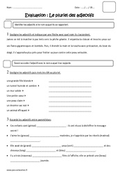 Pluriel des adjectifs - Examen Evaluation : 3eme Primaire - PDF à imprimer