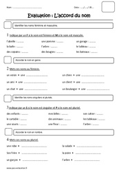 Accord du nom - féminin, masculin - singulier, pluriel - Examen Evaluation : 2eme Primaire - PDF à imprimer