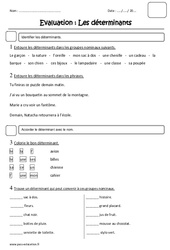 Déterminants - Examen Evaluation : 2eme Primaire - PDF à imprimer