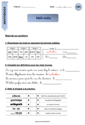 Méli - mélo - Ludique - Vocabulaire : 4eme Primaire - PDF à imprimer