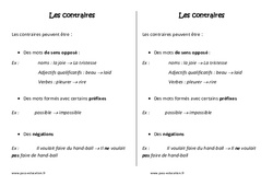 Contraires - Cours, Leçon - Vocabulaire : 3eme Primaire - PDF gratuit à imprimer