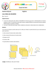 Critères de divisibilité - Algèbre - Montessori - Atelier 4 : 3eme, 4eme, 5eme Primaire - PDF à imprimer