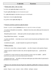 Adverbe - Exercices - Grammaire : 3eme Primaire - PDF à imprimer