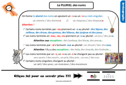 Le pluriel des noms - Cours, Leçon, trace écrite : 4eme Primaire - PDF gratuit à imprimer