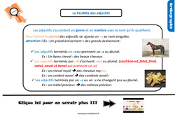 Le pluriel des adjectifs - Cours, Leçon, trace écrite : 4eme Primaire - PDF gratuit à imprimer