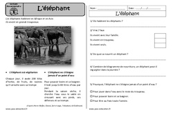 L'éléphant - Lecture documentaire - Compréhension : 1ere Primaire - PDF à imprimer