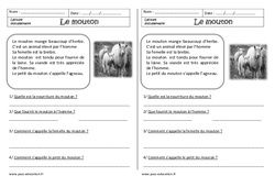 Le mouton - Lecture documentaire - Compréhension : 1ere Primaire - PDF à imprimer