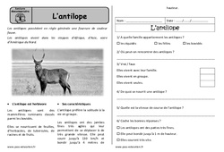 L’antilope - Lecture documentaire - Compréhension : 1ere Primaire - PDF à imprimer