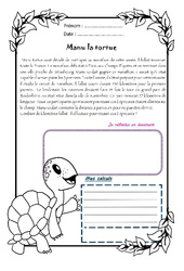 Manu la tortue - 1 histoire 1 problème : 4eme Primaire - PDF à imprimer