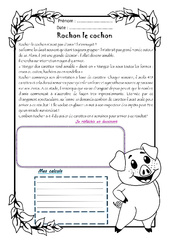 Rochon cochon - 1 histoire 1 problème : 4eme Primaire - PDF à imprimer