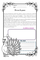 Zircon le paon - 1 histoire 1 problème : 5eme Primaire - PDF à imprimer