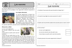 Les oursons - Lecture documentaire - Compréhension : 2eme Primaire - PDF à imprimer