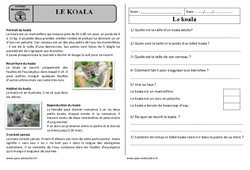 Le koala - Lecture documentaire : 2eme Primaire - PDF à imprimer