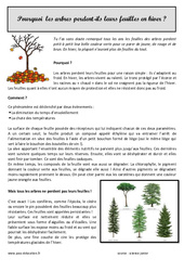 Pourquoi les arbres perdent - ils leurs feuilles - Lecture documentaire : 3eme Primaire - PDF à imprimer