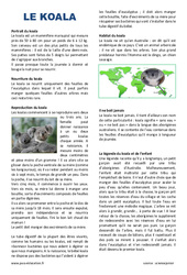 Koala - Lecture compréhension : 4eme, 5eme Primaire - PDF à imprimer