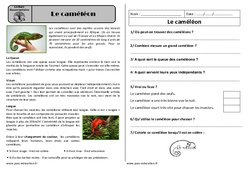Le caméléon - Lecture documentaire : 2eme Primaire - PDF à imprimer