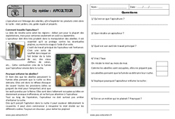 Apiculteur - Lecture documentaire : 2eme Primaire - PDF à imprimer
