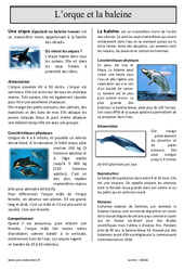 L'orque et la baleine - Lecture compréhension : 4eme, 5eme Primaire - PDF à imprimer