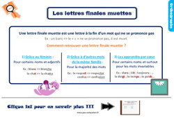 Les lettres finales muettes - Cours, Leçon, trace écrite : 3eme Primaire - PDF gratuit à imprimer
