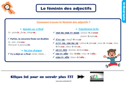 Le féminin des adjectifs - Cours, Leçon, trace écrite : 3eme Primaire - PDF gratuit à imprimer
