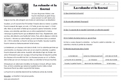 La colombe et la fourmi - Récit : 2eme Primaire - PDF à imprimer