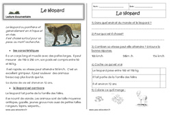 Le léopard - Lecture documentaire : 1ere Primaire - PDF à imprimer