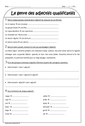 Adjectifs qualificatifs - Exercices sur le masculin et féminin : 3eme Primaire - PDF à imprimer