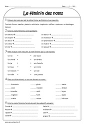 Féminin des noms - Exercices  : 3eme Primaire - PDF à imprimer
