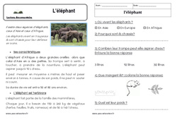 L’éléphant - Lecture documentaire : 1ere Primaire - PDF à imprimer