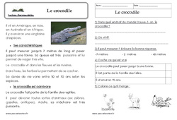 Le crocodile - Texte informatif - Lecture : 1ere Primaire - PDF à imprimer