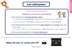 Les antonymes - Cours, Leçon, trace écrite : 3eme Primaire <small style='color:inherit;'>(téléchargement gratuit)</small>