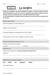 La bergère - m devant m, p, b - Dictée accompagnée n°5 : 4eme Primaire - Cycle 3 - PDF à imprimer