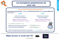 Les homophones grammaticaux sont / son - Cours, Leçon, trace écrite : 3eme Primaire <small style='color:inherit;'>(téléchargement gratuit)</small>