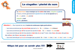 Le singulier / pluriel du nom - Cours, Leçon, trace écrite : 2eme Primaire - PDF gratuit à imprimer