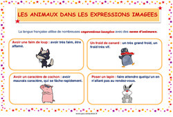 Les animaux dans les expressions imagées - Affiche de classe : 1ere, 2eme Primaire - PDF à imprimer