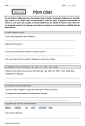 Mon chat - Noms terminés par - ail, - aille, - eil, - eille, - euil, - euille - Accords sujet - verbe - Dictée accompagnée n°12 : 4eme Primaire - Cycle 3 - PDF à imprimer