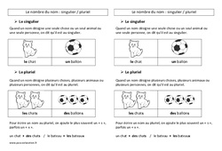 Nombre des noms - Cours, Leçon de grammaire : 3eme Primaire - PDF gratuit à imprimer