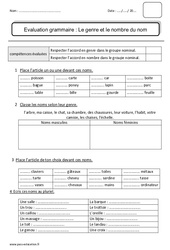 Examen Genre et nombre du nom - Ce2 - Evaluation - Bilan - PDF à imprimer