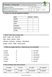 Le masculin et le féminin du nom - Étude de la langue - Examen Evaluation avec les corrigés : 2eme Primaire - PDF à imprimer