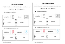 Déterminants - Cours, Leçon - Singulier - Pluriel et  Féminin - Masculin : 2eme Primaire - PDF gratuit à imprimer