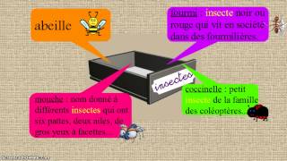 Mot étiquette ou nom générique - Classe inversée : 3eme Primaire