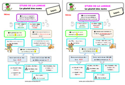 Le pluriel des noms - Étude de la langue - Cours, Leçon : 3eme Primaire - PDF gratuit à imprimer
