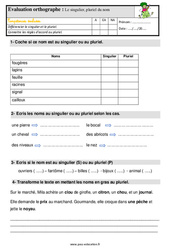 Le singulier, pluriel du nom - Étude de la langue - Examen Evaluation avec les corrigés : 2eme Primaire - PDF à imprimer