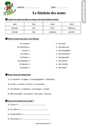 Le féminin des noms - Étude de la langue - Exercices avec les corrigés : 3eme Primaire - PDF à imprimer