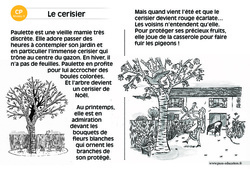 Le cerisier - Lecture compréhension - Histoire illustrée - Niveau 3 : 1ere Primaire - PDF à imprimer